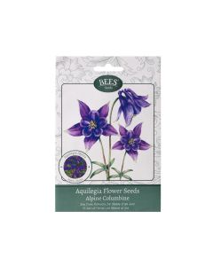Alpine Columbine - Aquilegia Flower Seed Packet