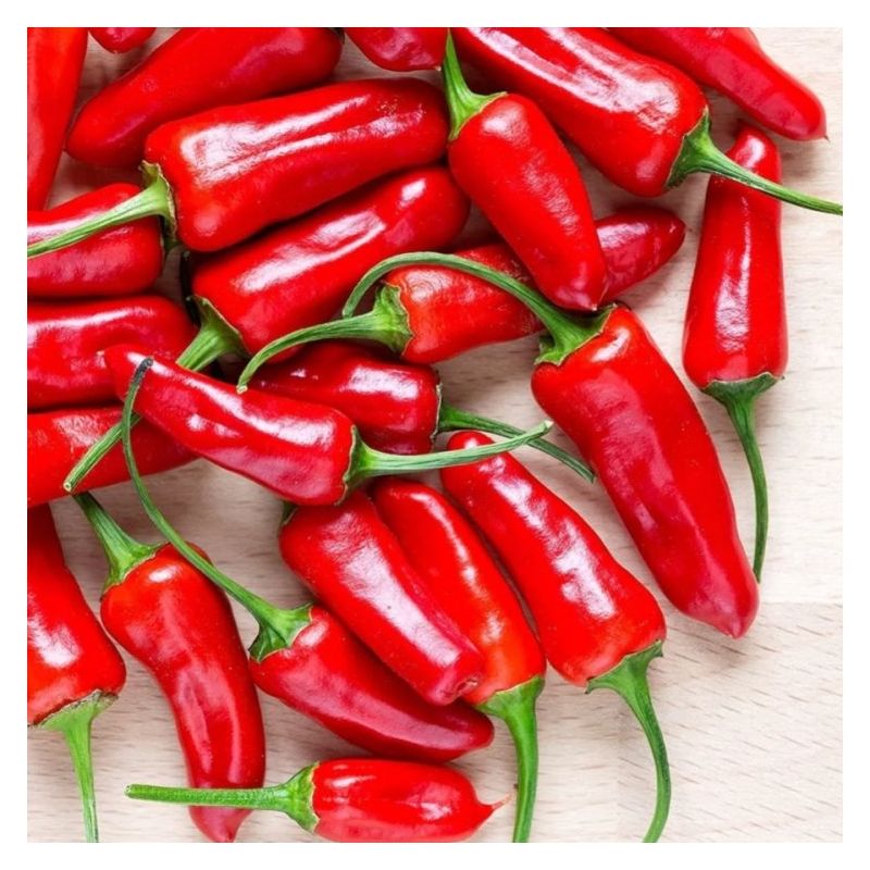 Chilli Pepper Apache