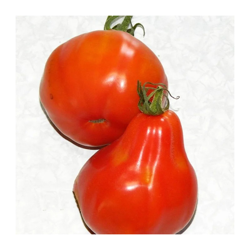 image_editor_45_.png