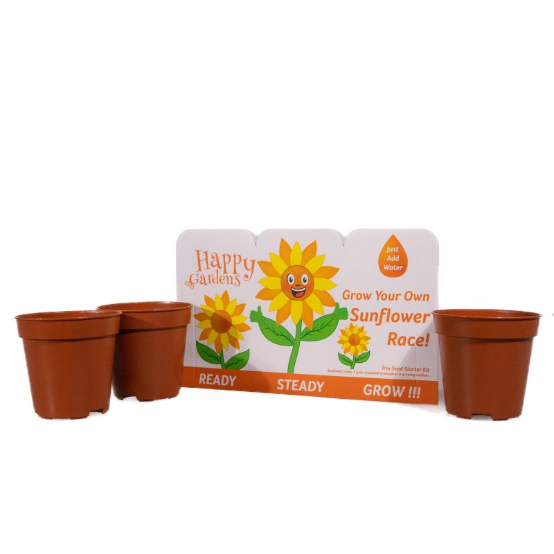 Sunflower Grow Your Own Sunflower Trio Seed Starter Kit Perfect Gift!