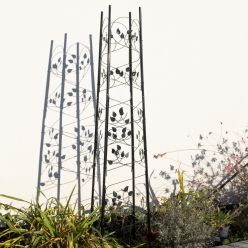 Botanical Garden Obelisk - Perfect for Climbing Plants - 1.6m tall