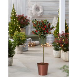 Medium Copper Plastic Plant Cover Pot - 14.5cm diameter