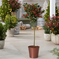 Medium Copper Plastic Plant Cover Pot - 14.5cm diameter