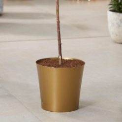 Medium Gold Plastic Plant Cover Pot  - 12.5cm diameter