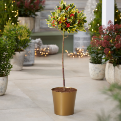 Small Gold Plastic Plant Cover Pot - 9.5cm diameter