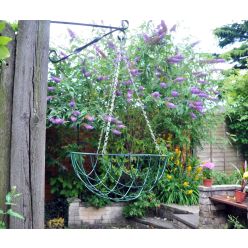 Hanging Basket - 14 Inch
