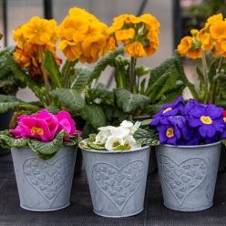 Heart Zinc Pot - Pack Of Three - Small (11cm)