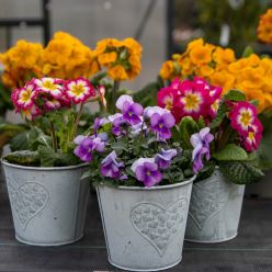 Heart Zinc Pot - Pack Of Three - Medium (14cm)