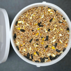 Classic Wild Bird Feed Mix