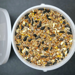 Caramel Crunch - Premium Tasty Seed Blend for Birds
