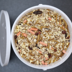 Fruits of the Forest - Fruit, Nut & Insect Garden Bird Seed Blend