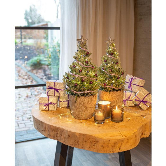 Christmas tree outlet sale uk