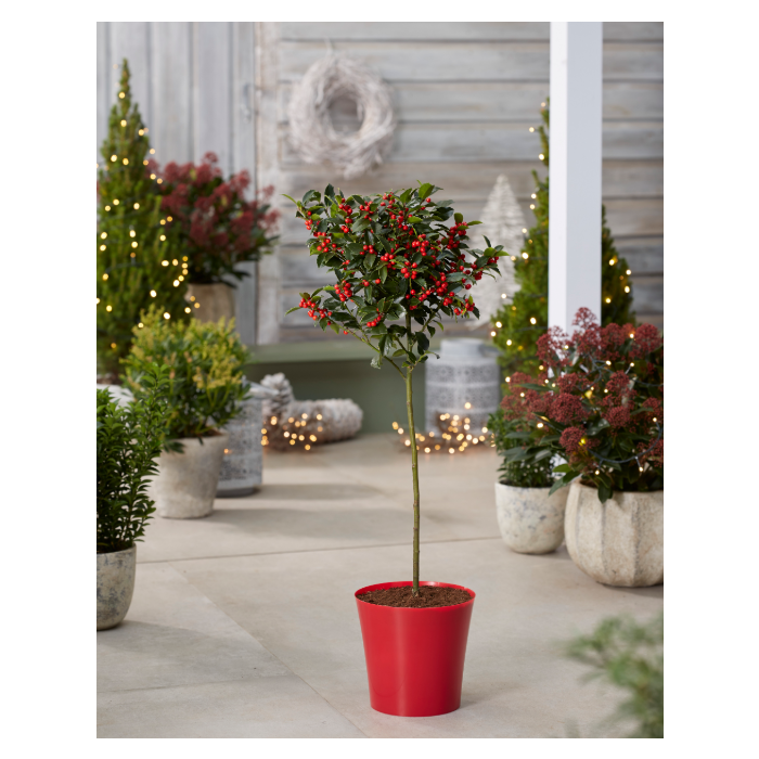 Red Plastic Plant Cover Pot 9.5cm diameter