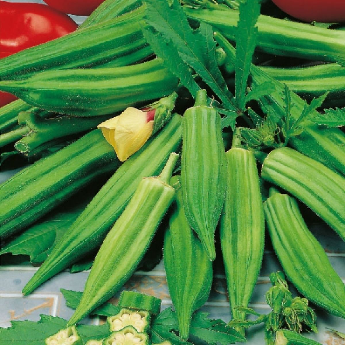Okra Plant Clemson Spineless Okra Plant Clemson Spineless