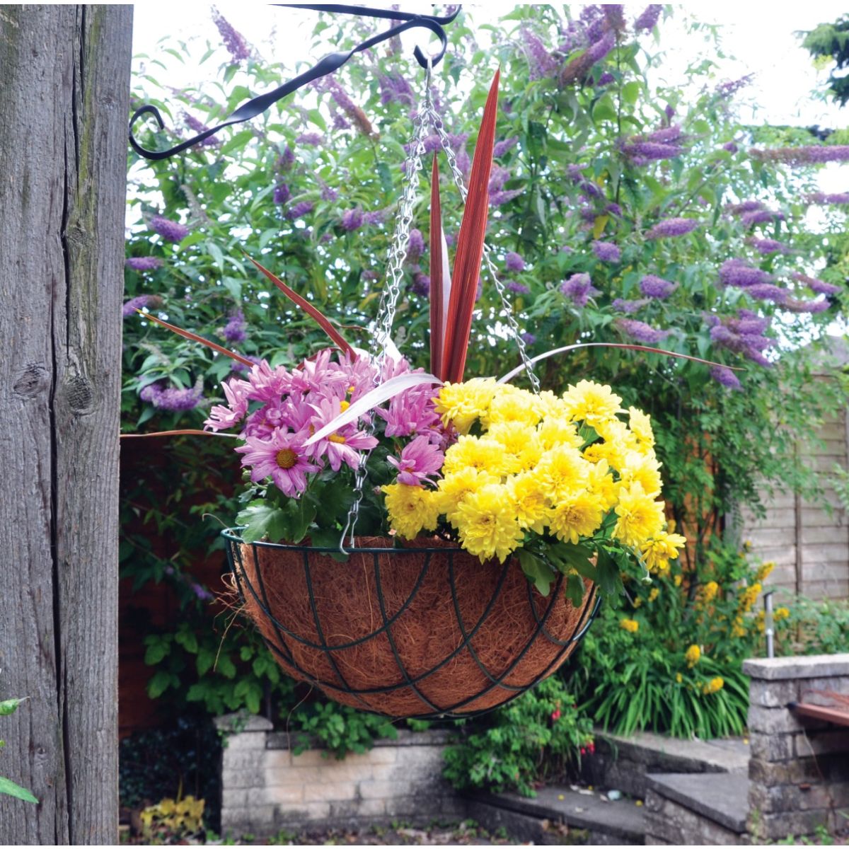 Hanging Basket - 14 Inch