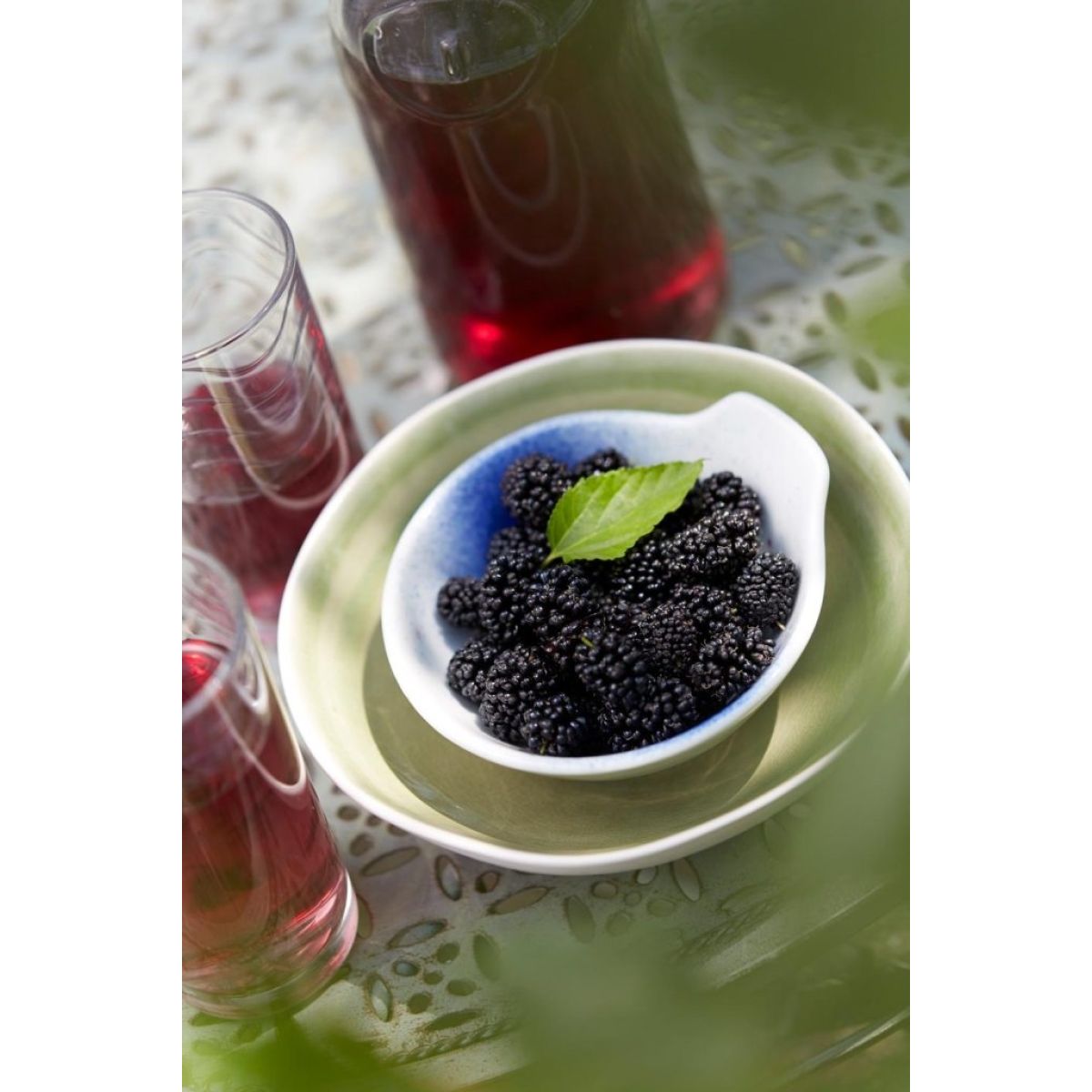 Black Mulberry Patio Tree - Morus rotundiloba Mojo Berry circa 100cms