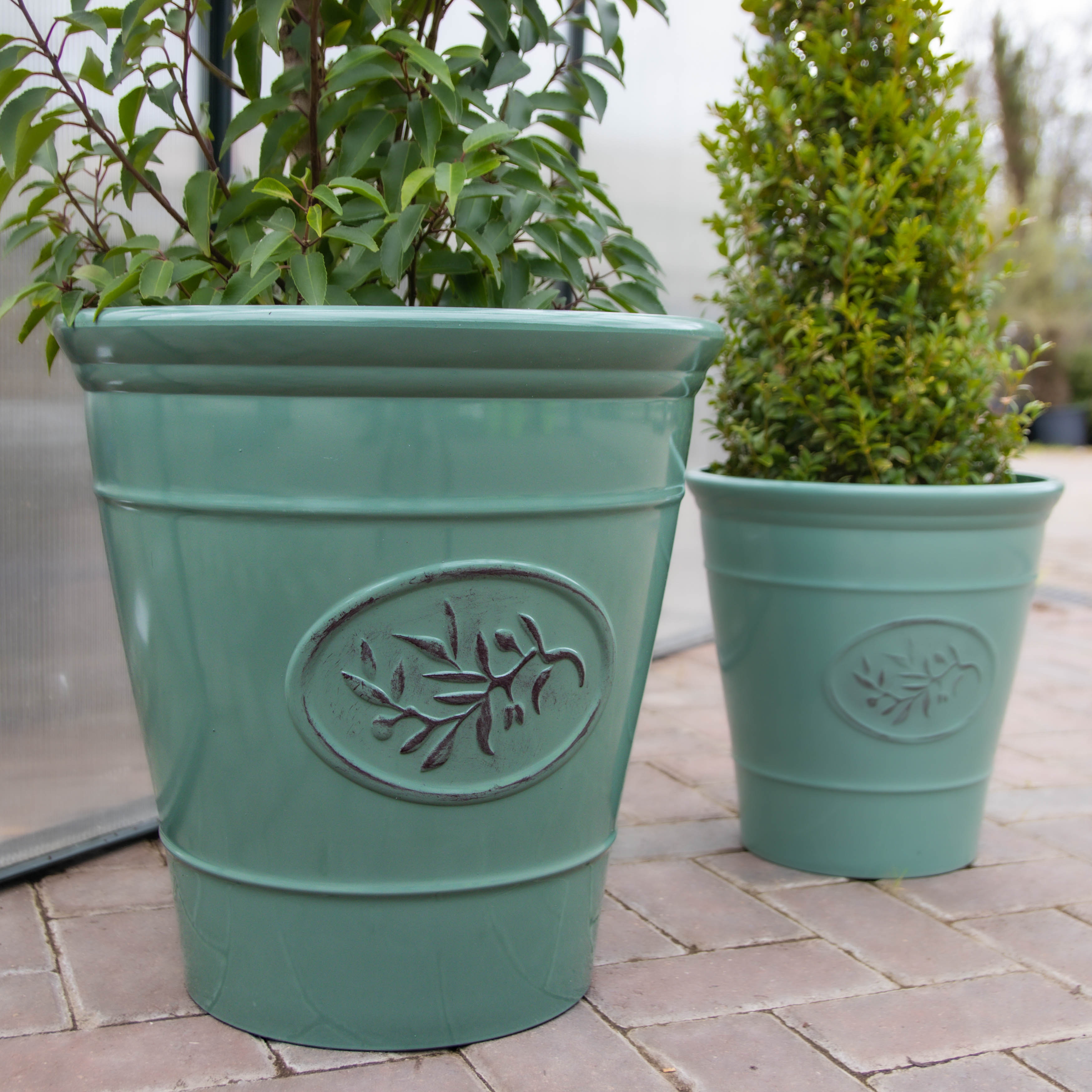 Green Olive Planter - Extra Large (40cm)
