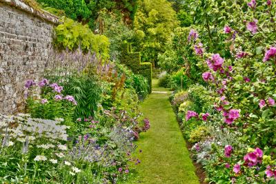 Thousands of plants to choose from in one place - Gardening Express