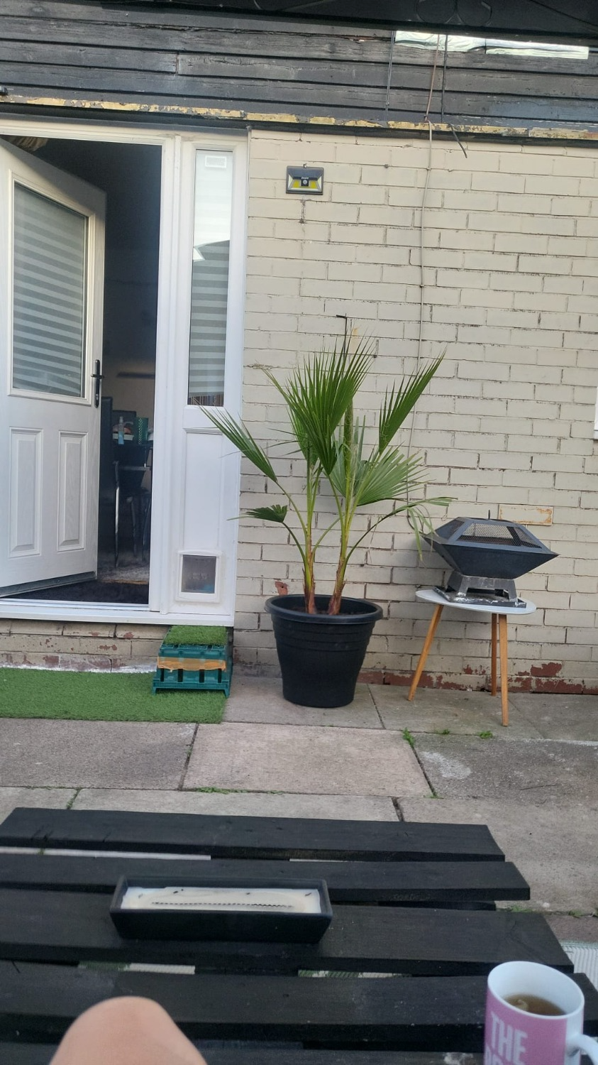 Customer photo