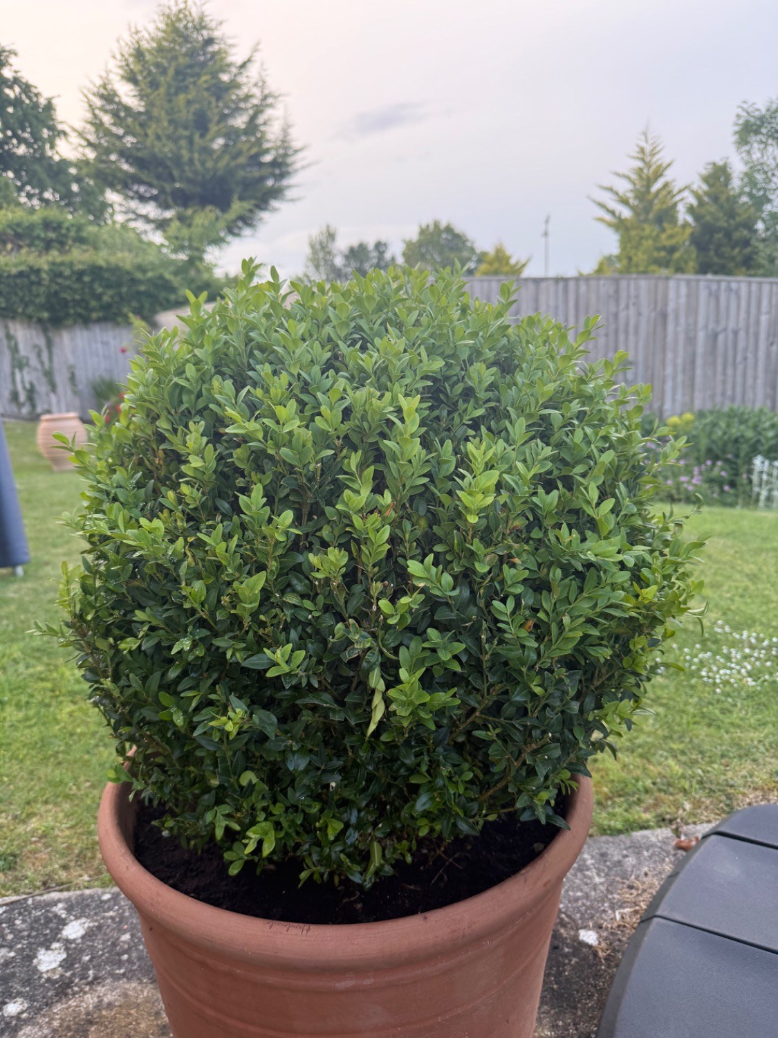 Customer photo