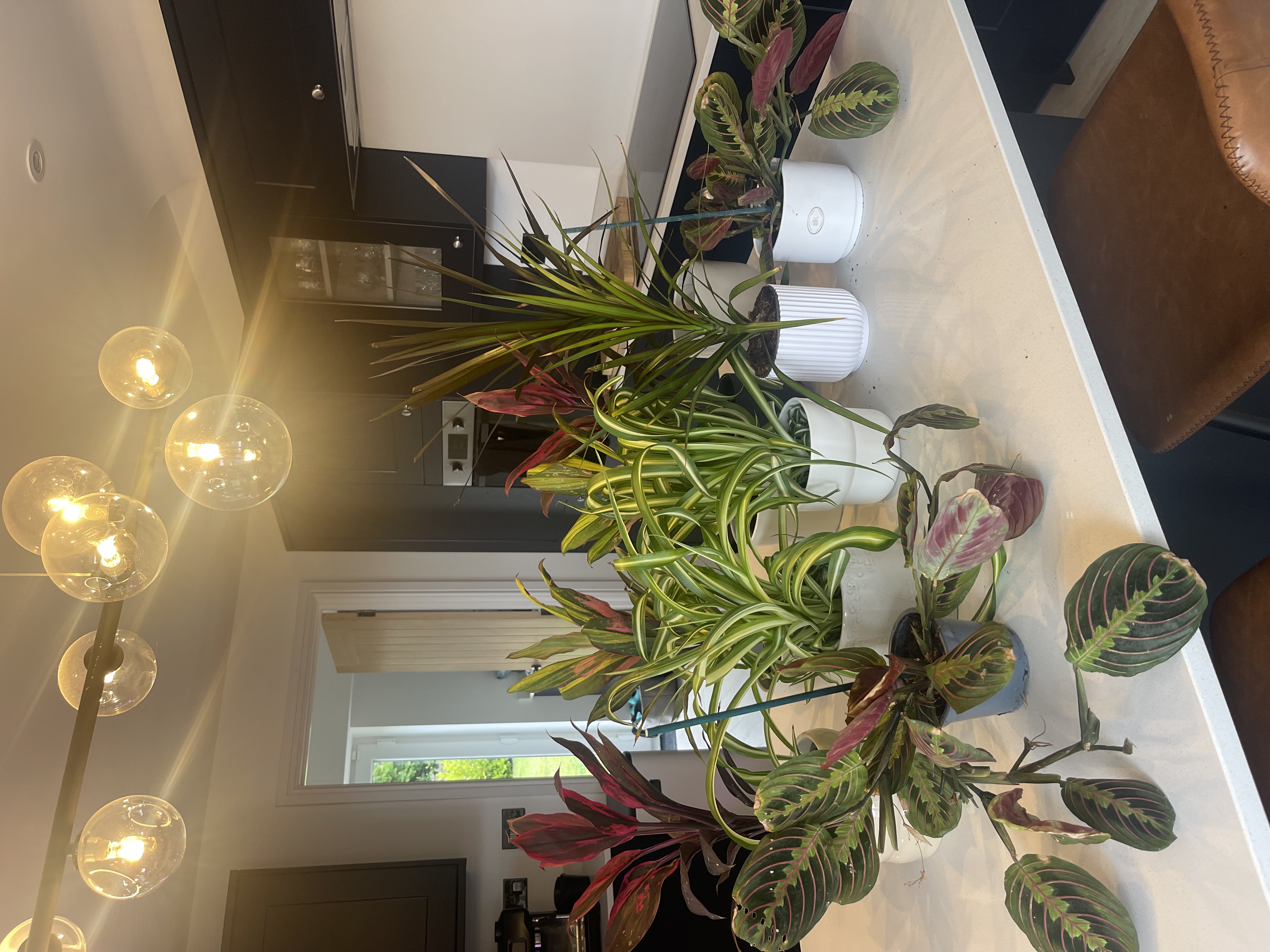 Customer photo