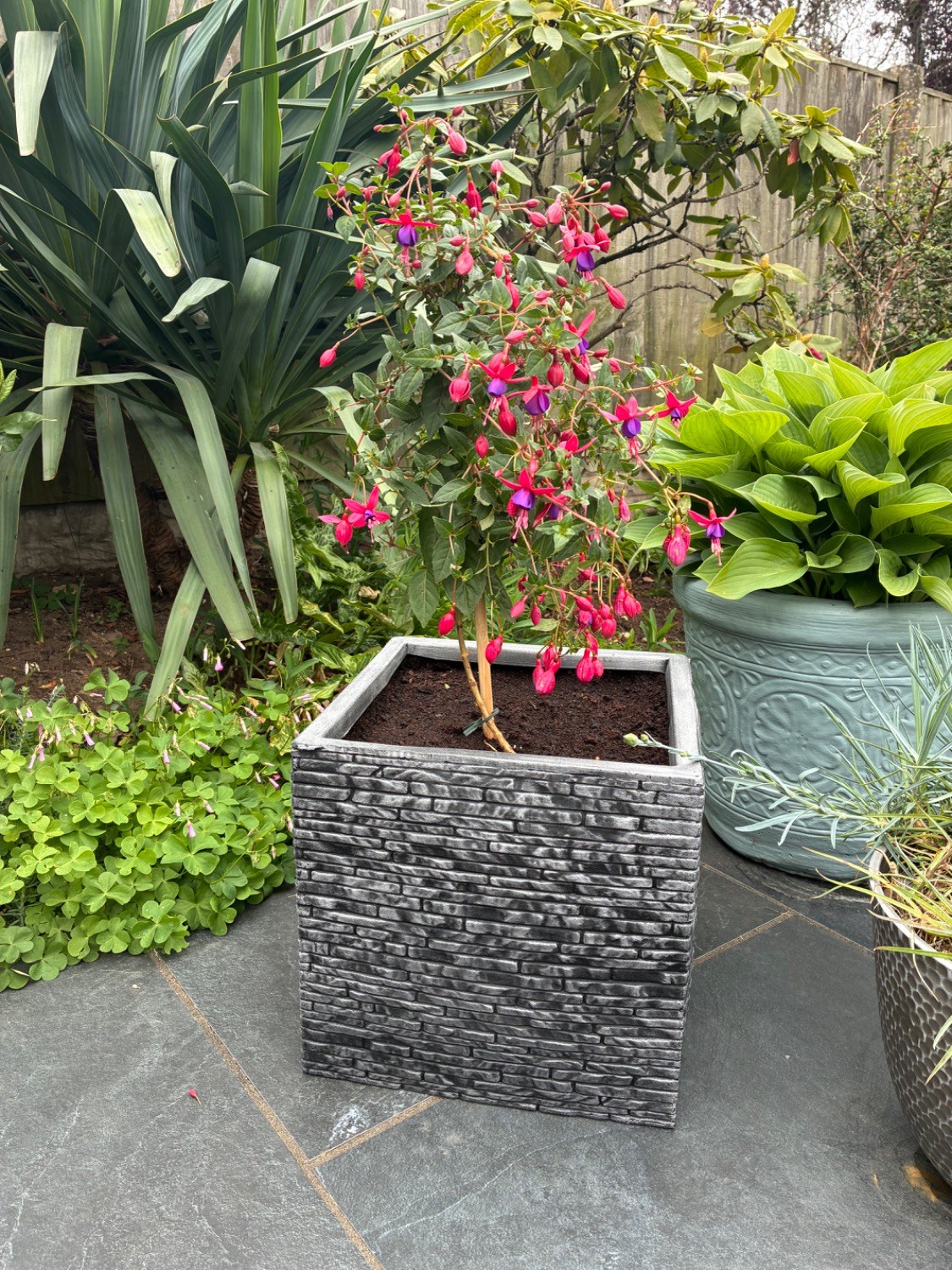 Customer photo