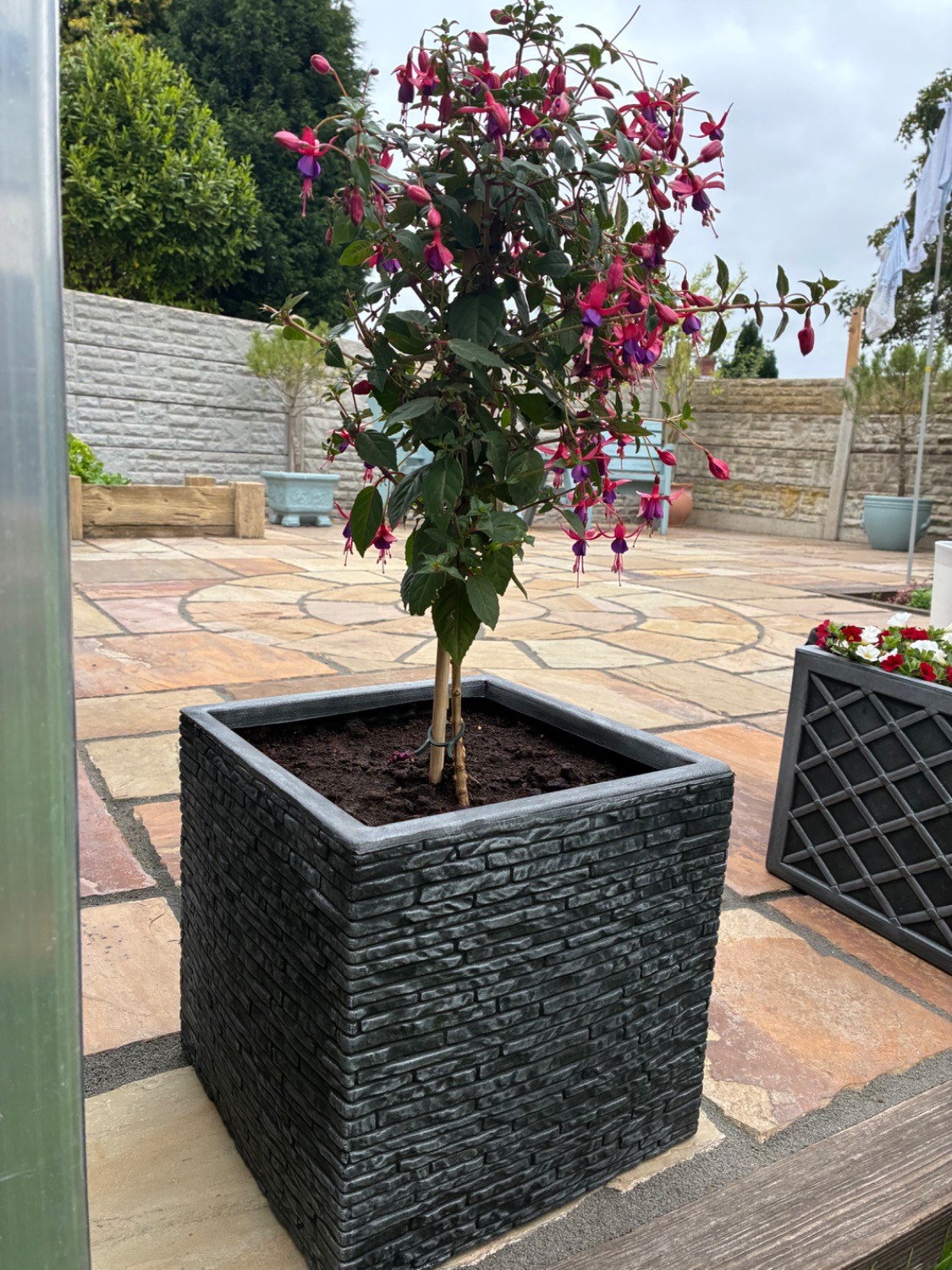 Customer photo