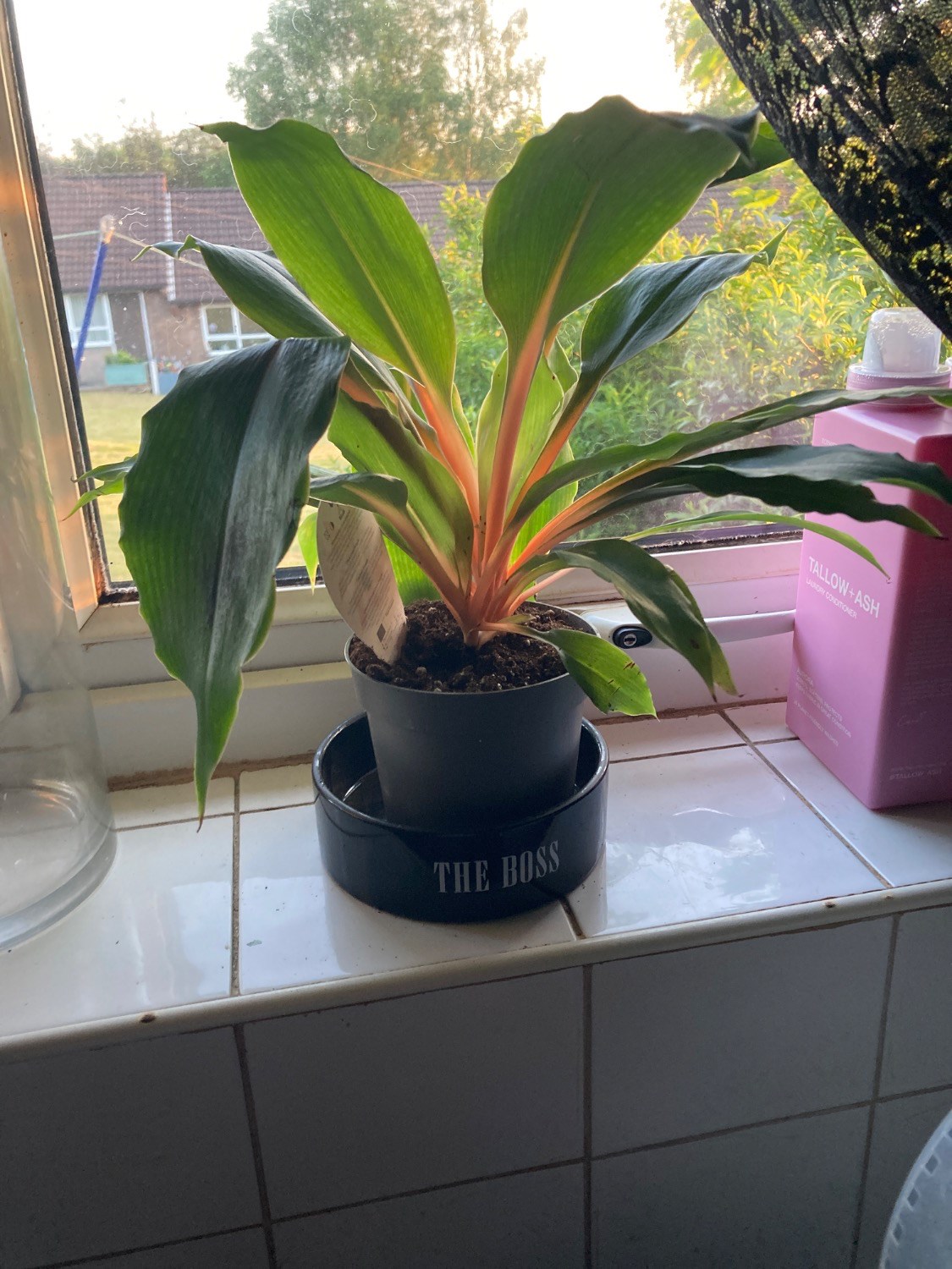 Customer photo