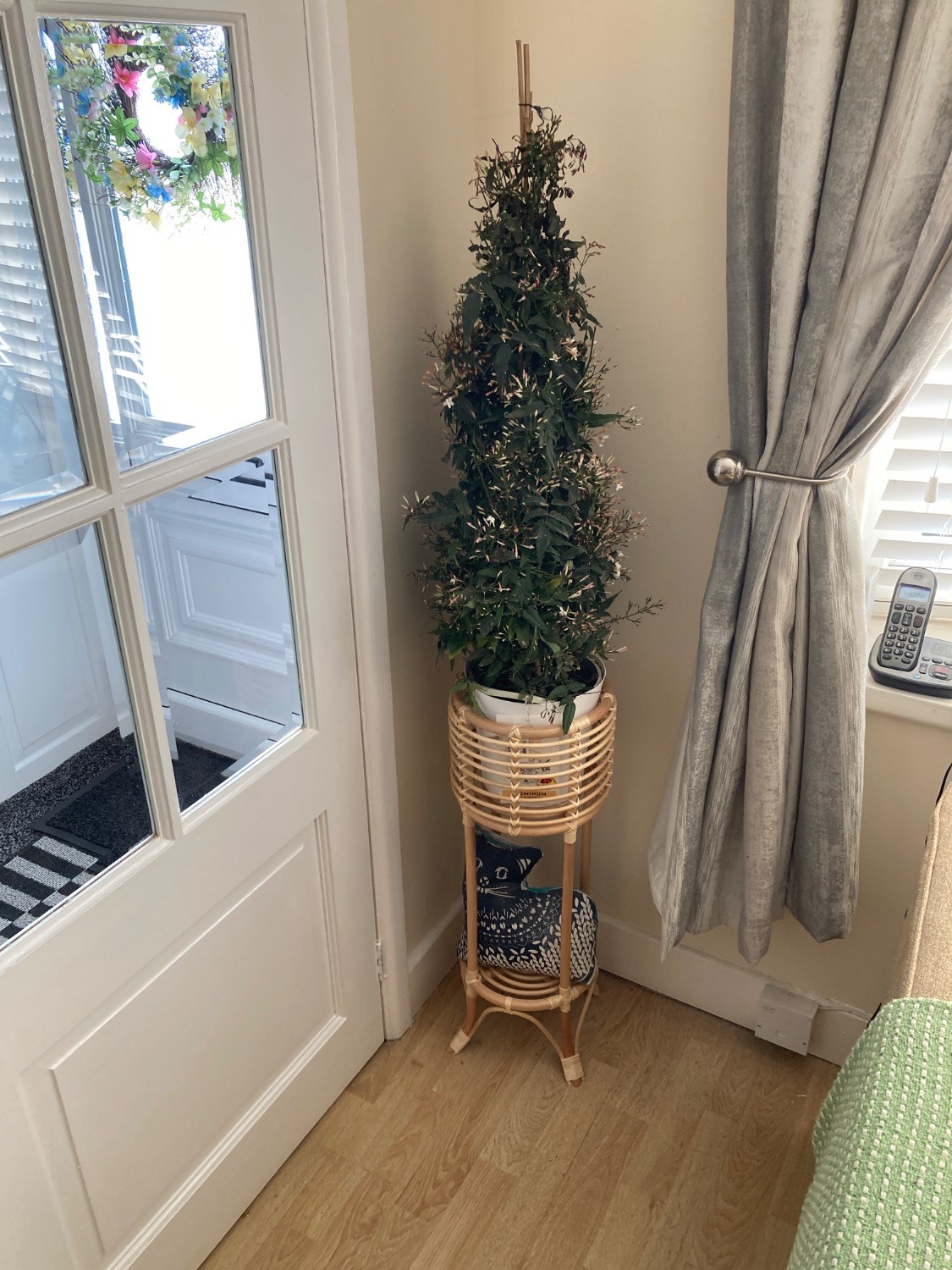 Customer photo