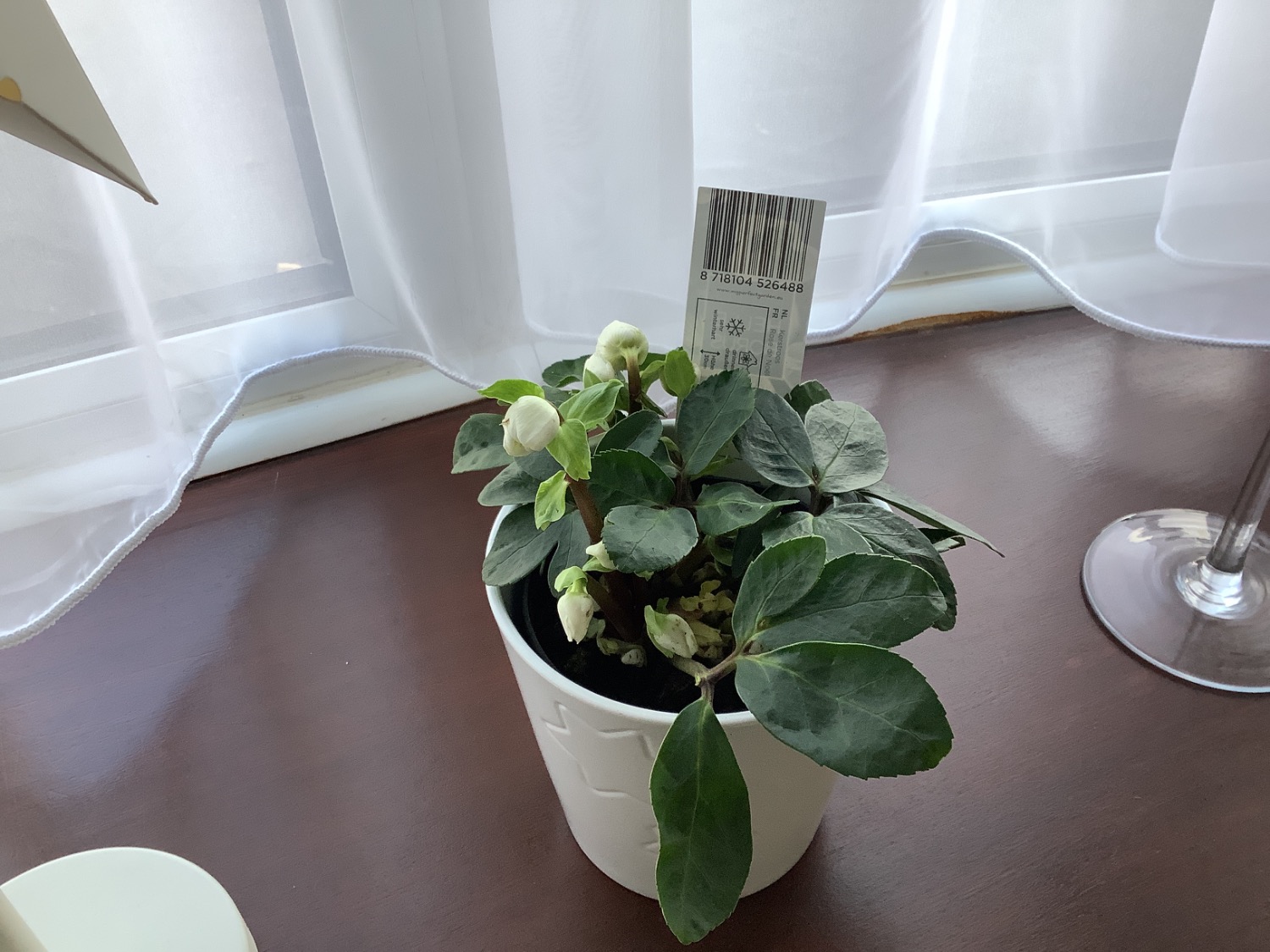 Customer photo