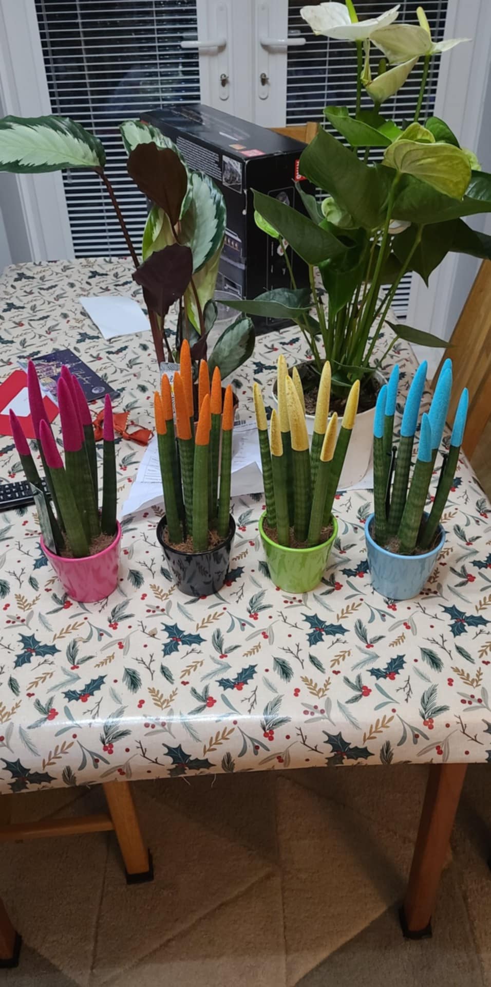 Customer photo