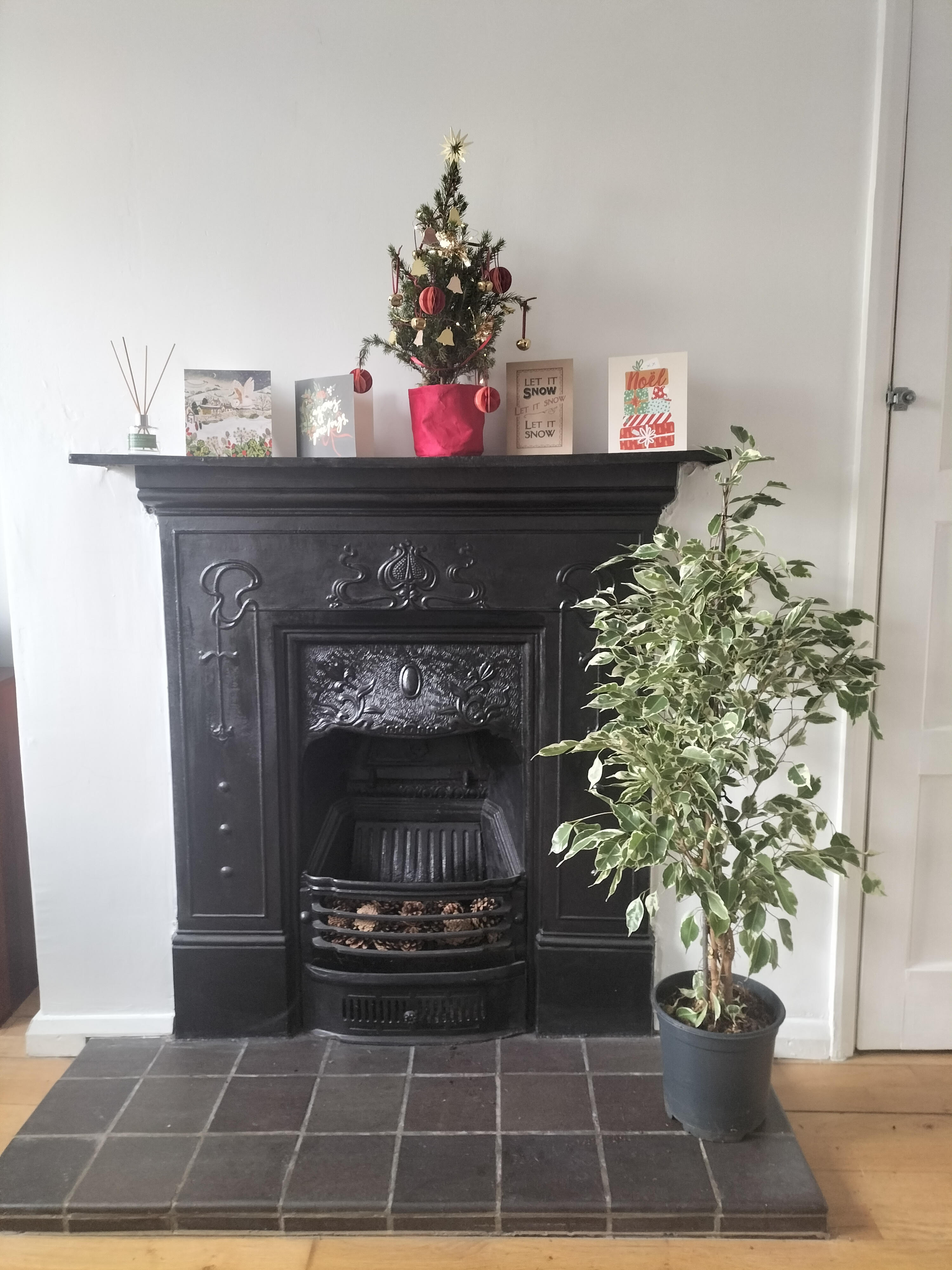Customer photo