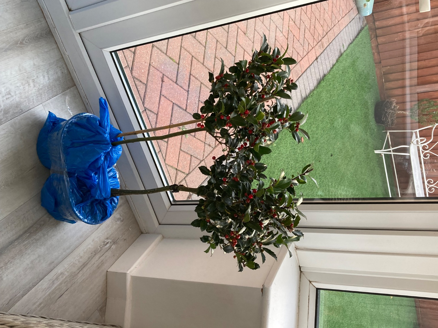 Customer photo