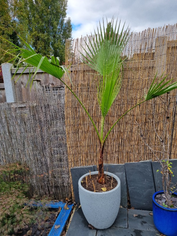 Review photo for 