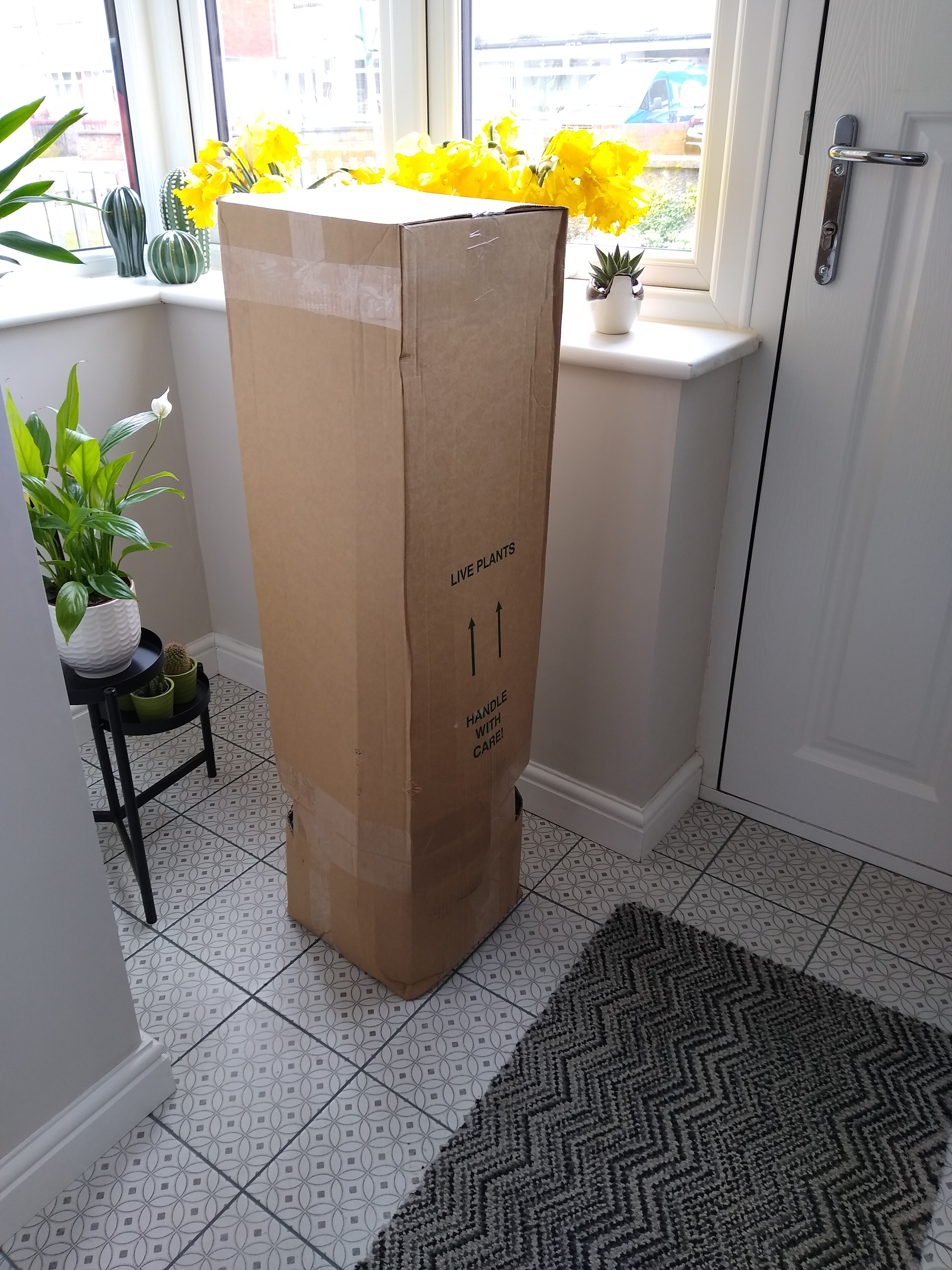 Customer photo