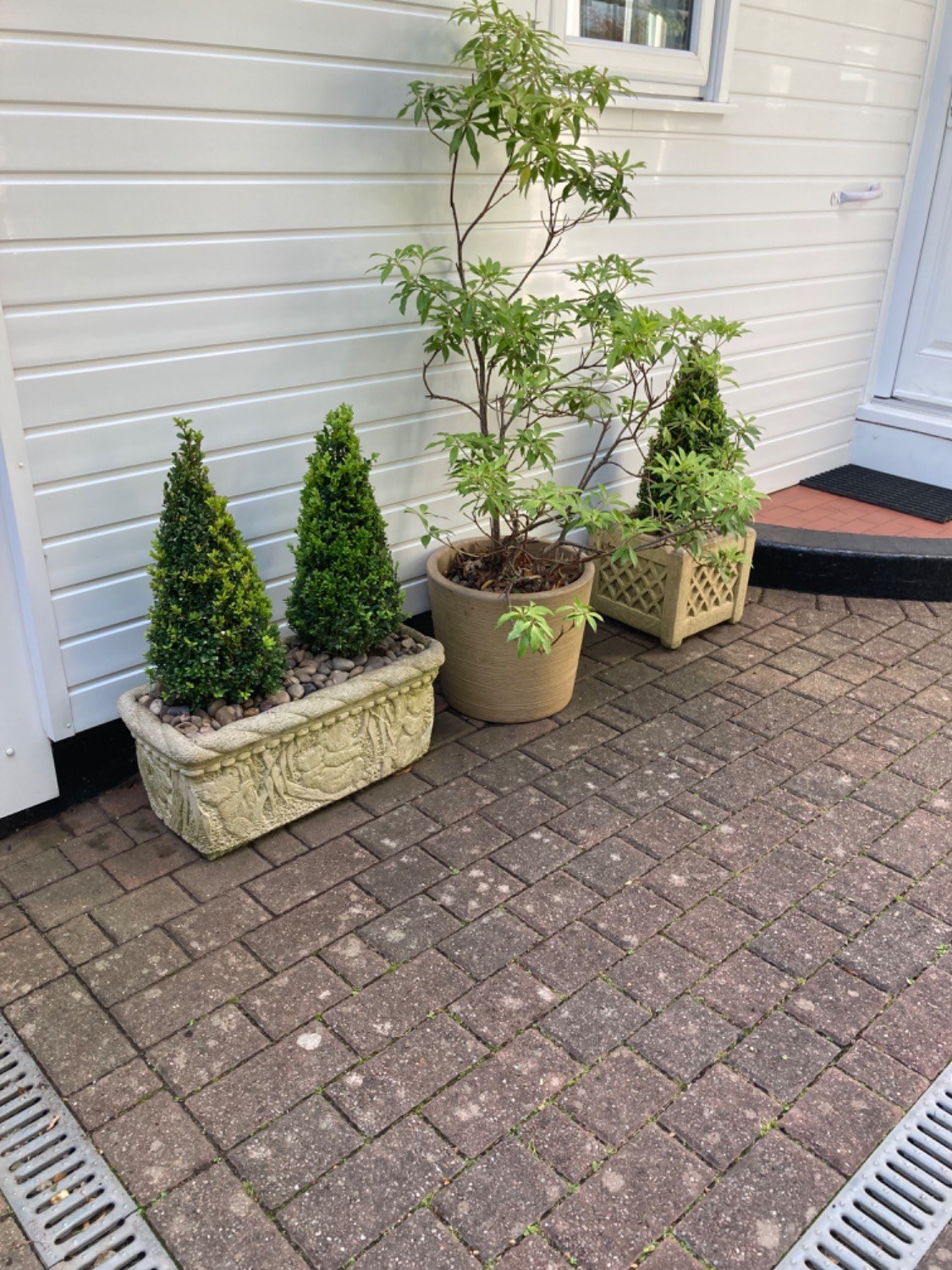 Customer photo