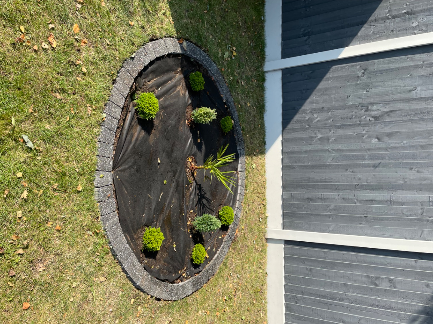 Customer photo