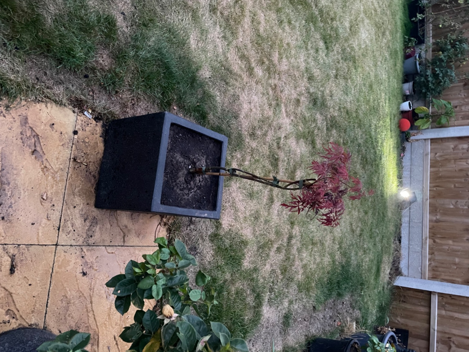 Review photo for 