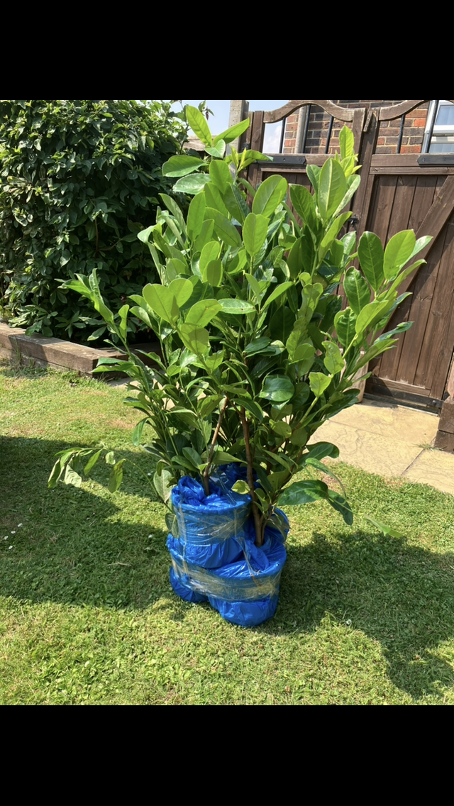 Customer photo