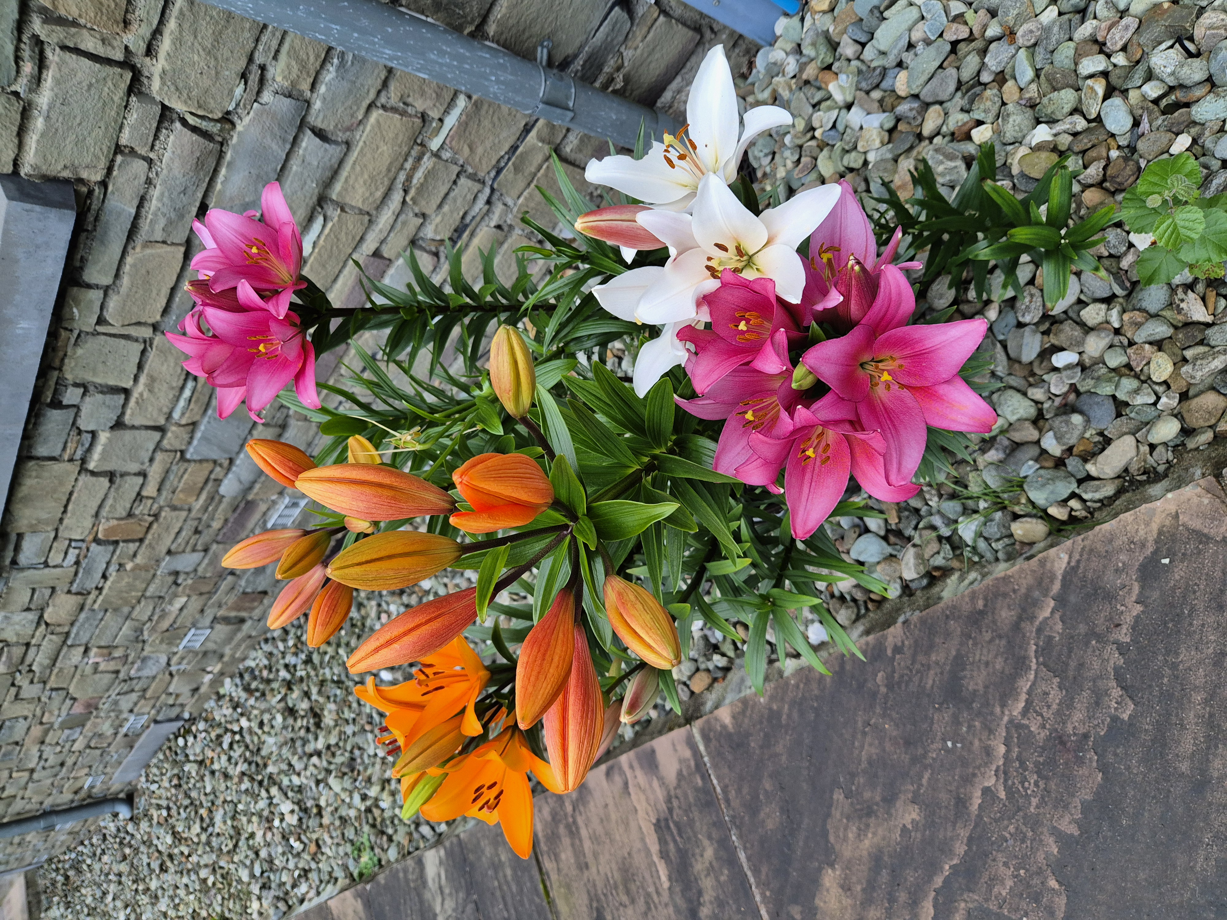 Customer photo