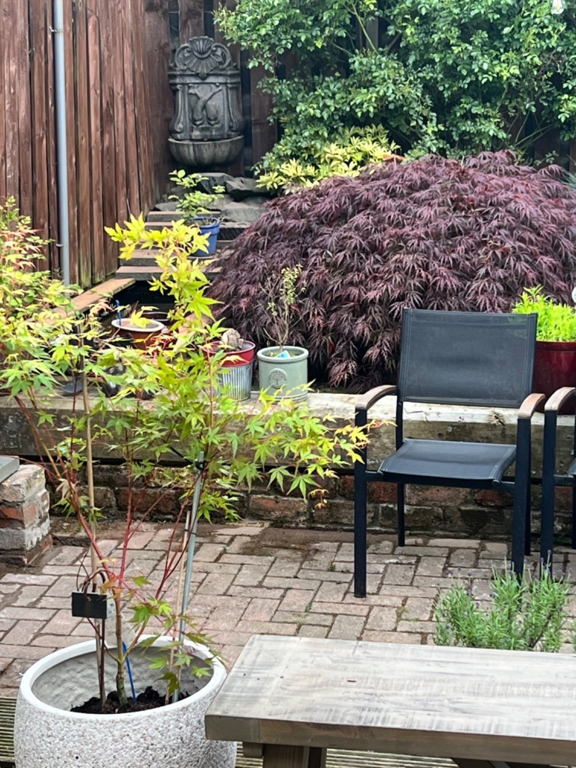 Customer photo
