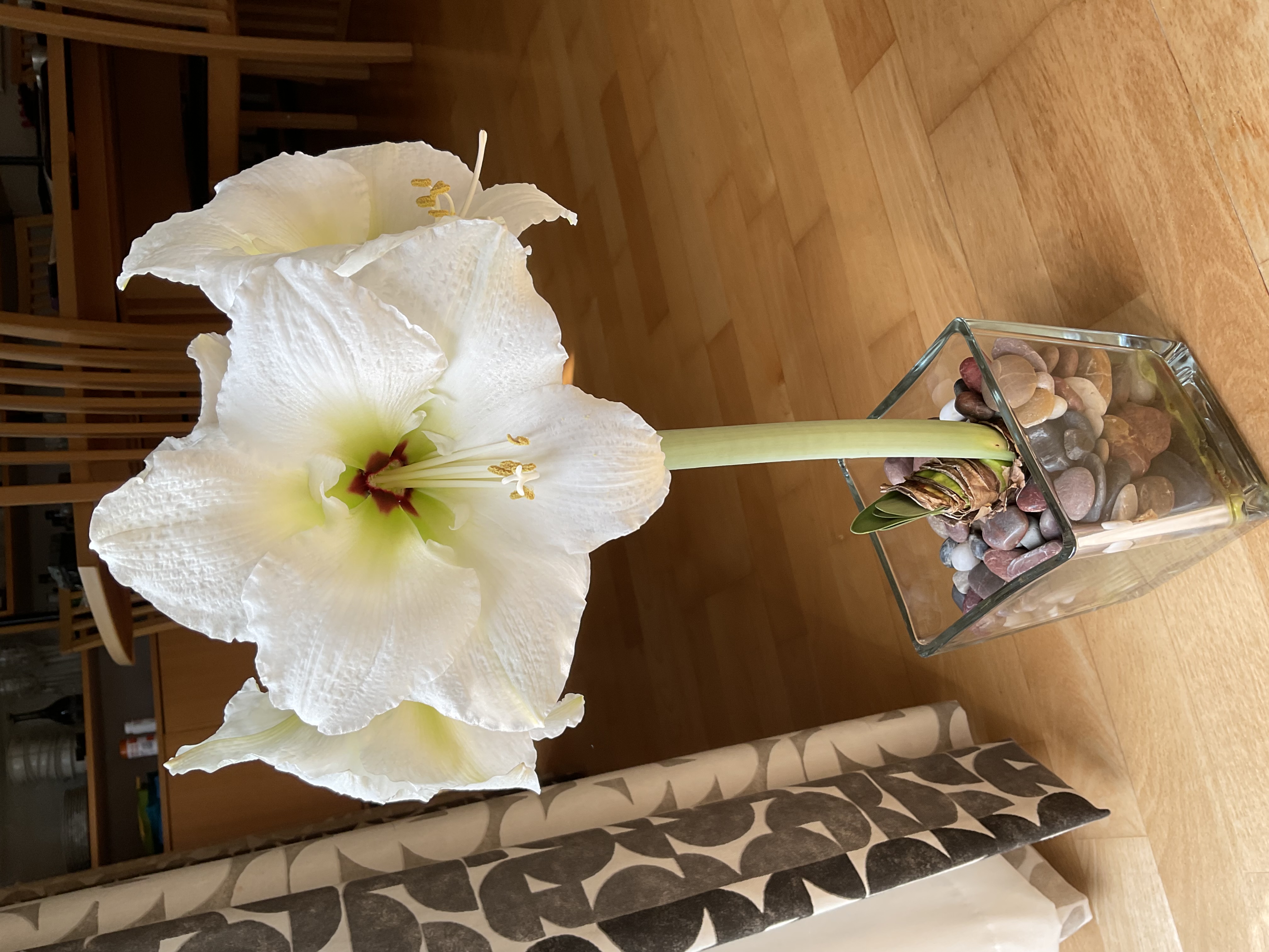 Review photo for 