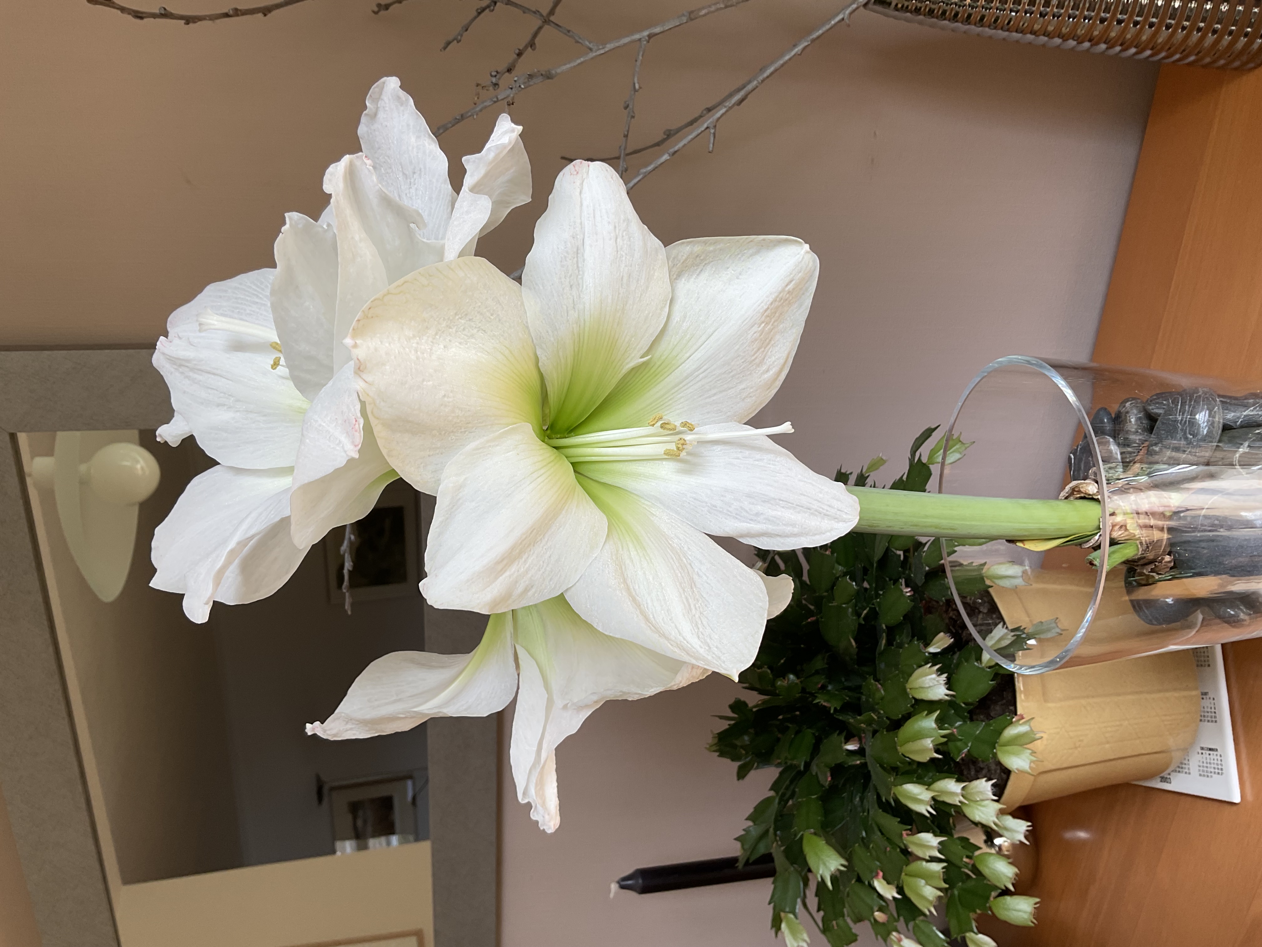 Review photo for 
