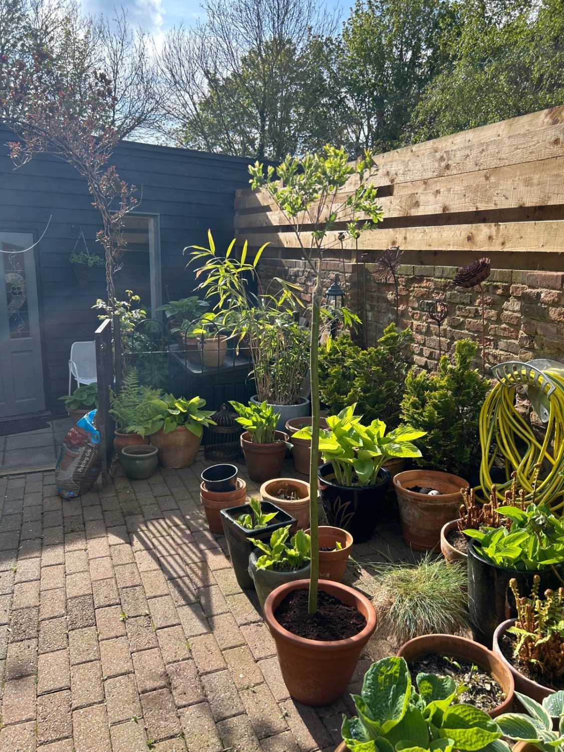 Customer photo