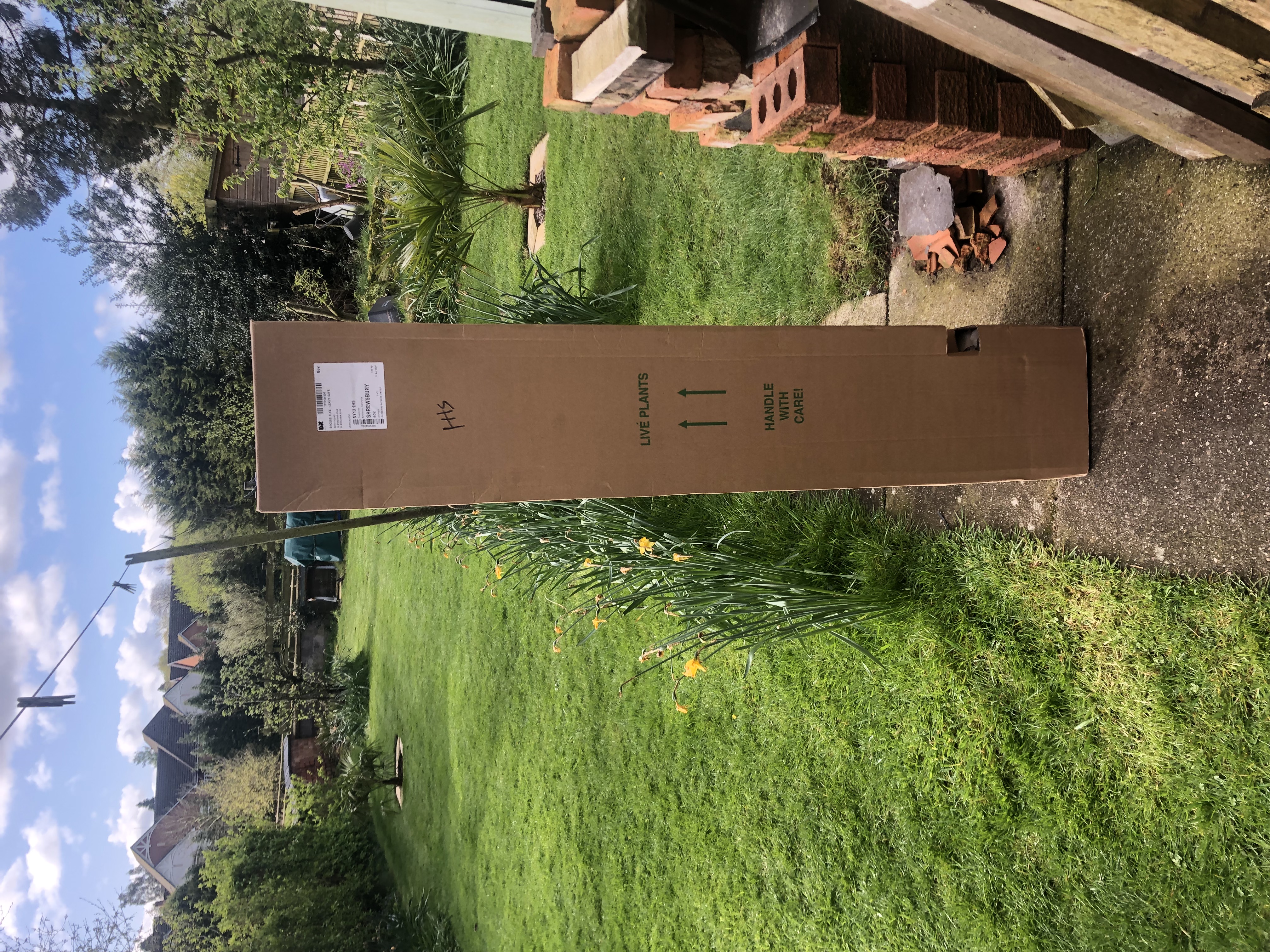 Customer photo
