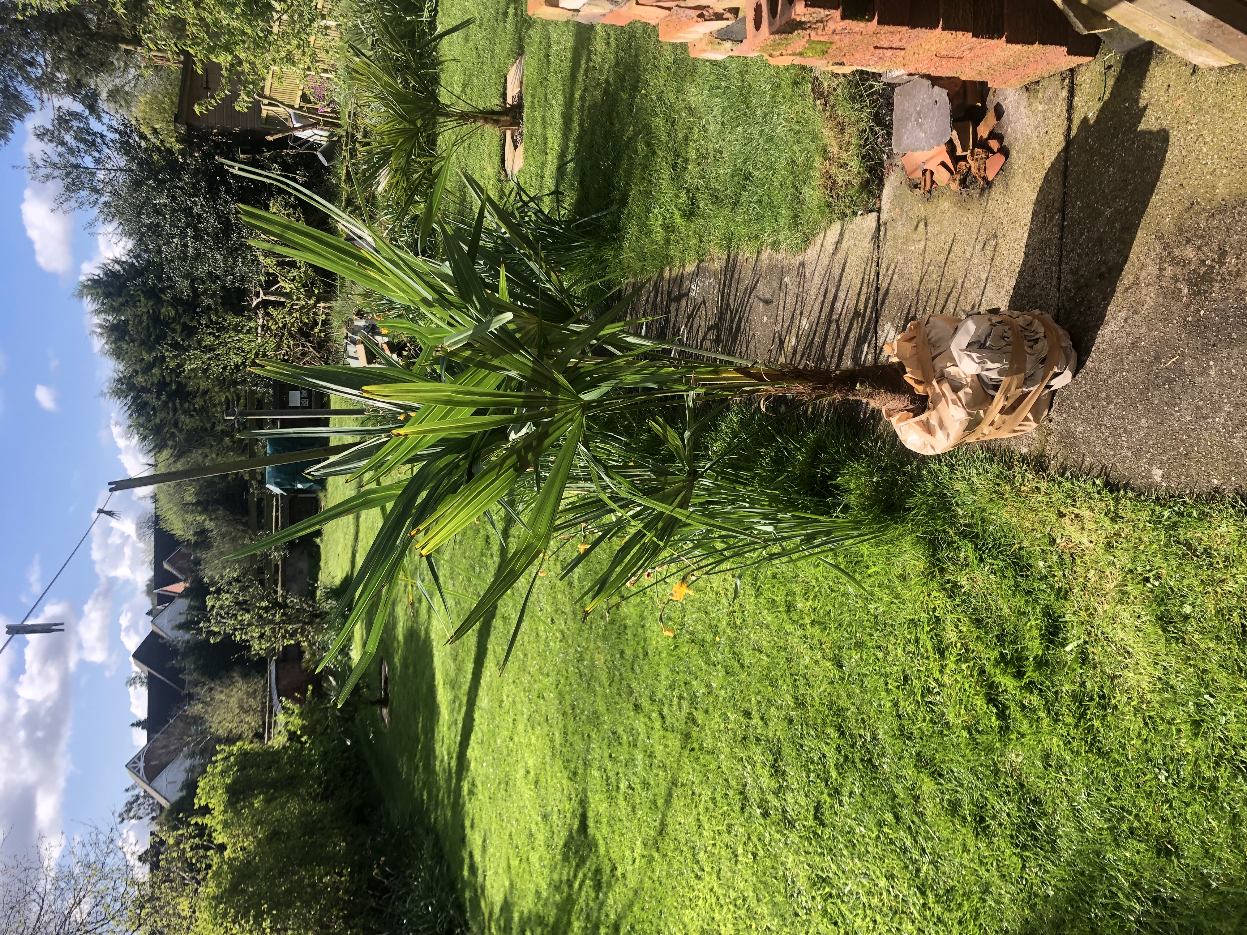 Customer photo