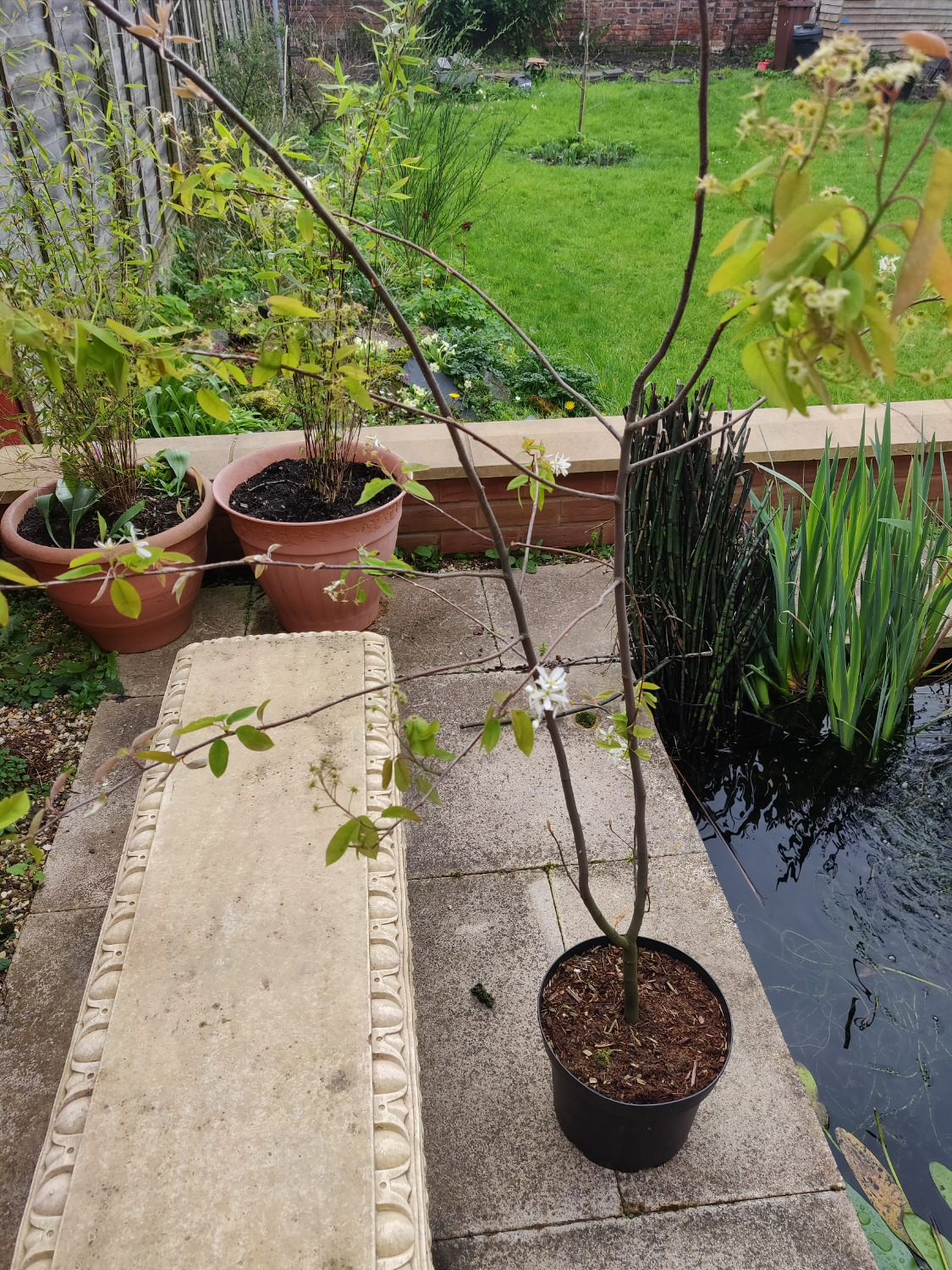Customer photo