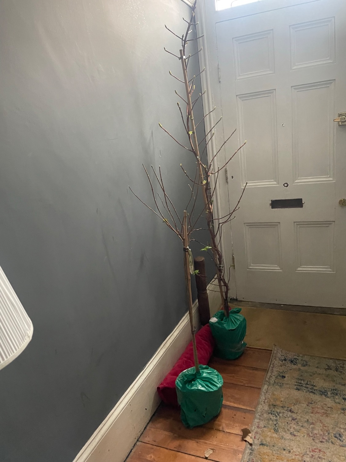 Customer photo
