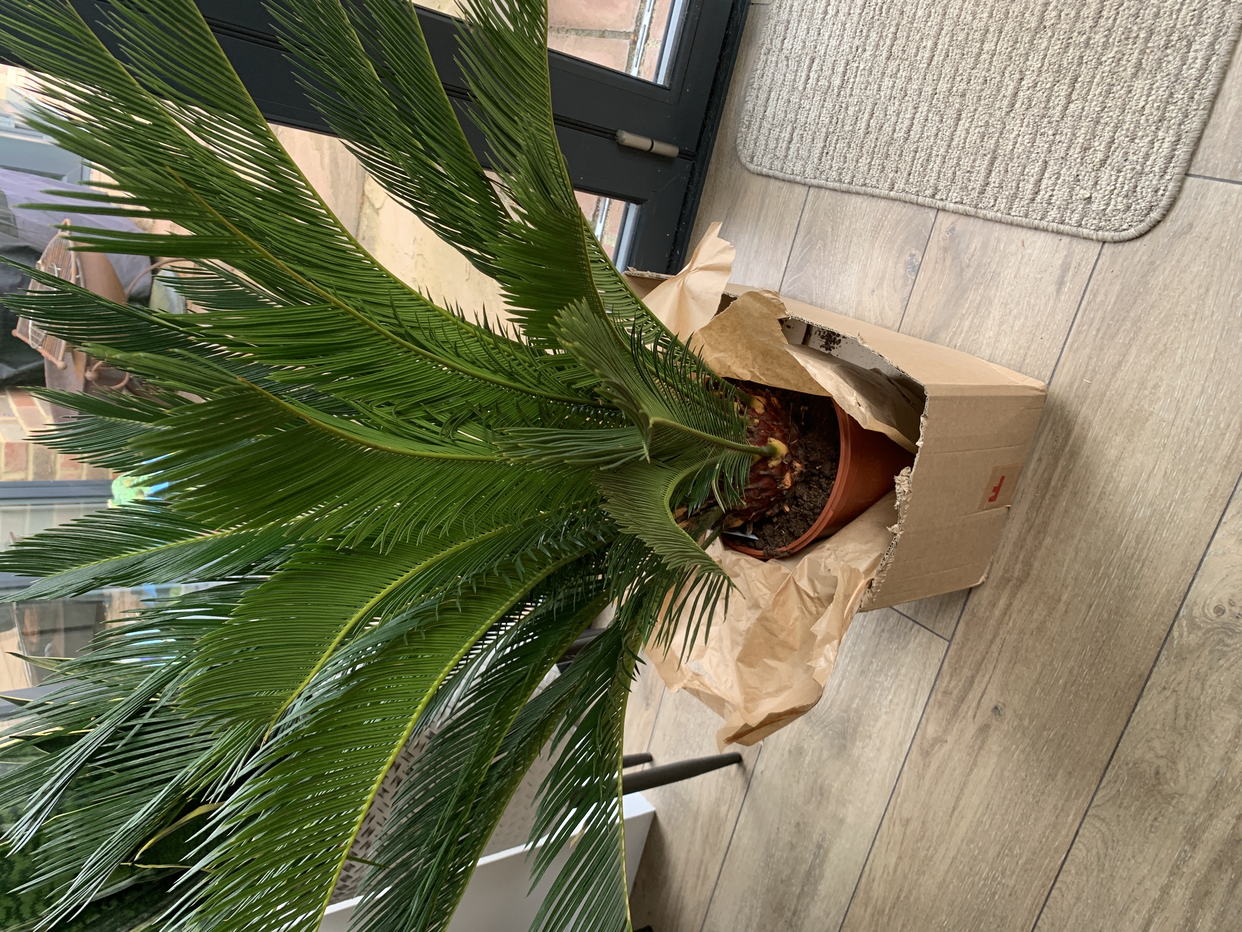 Customer photo