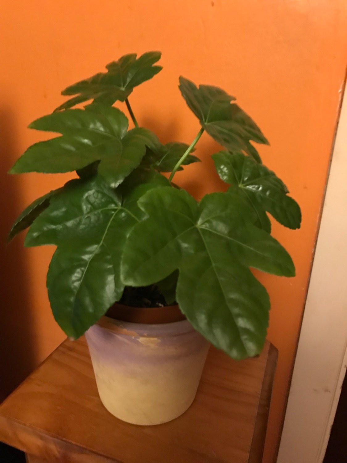 Review photo for 